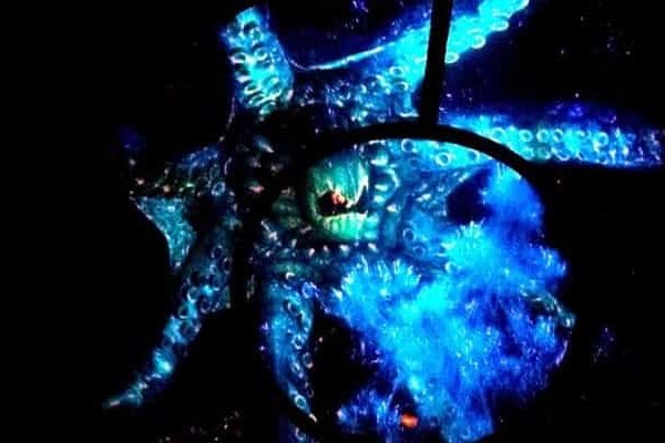 Kraken 24 at