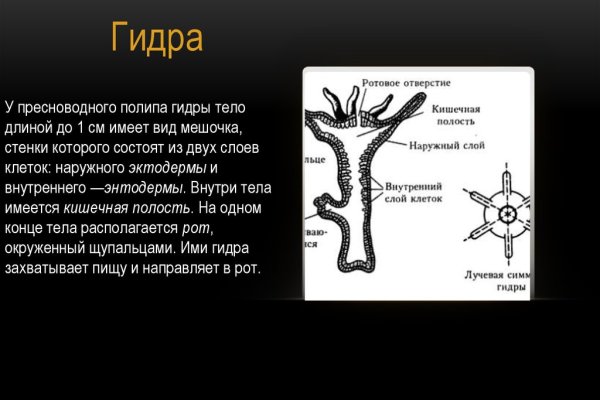 Сайт мега кракен