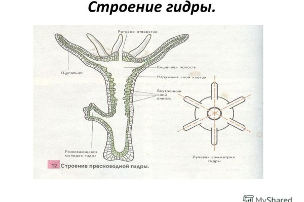 Почему не работает кракен сегодня