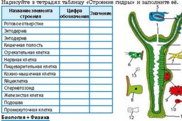 Кракен 20 at