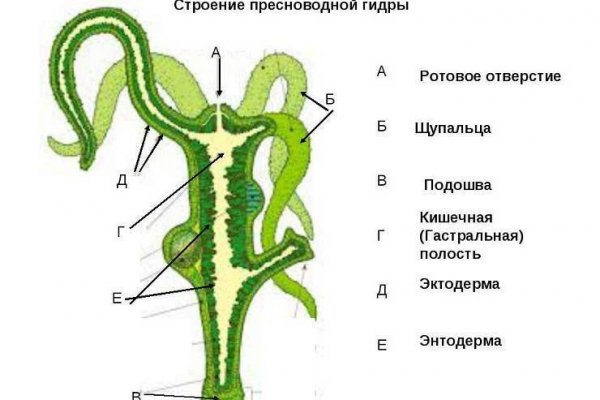 Магазин кракен как попасть
